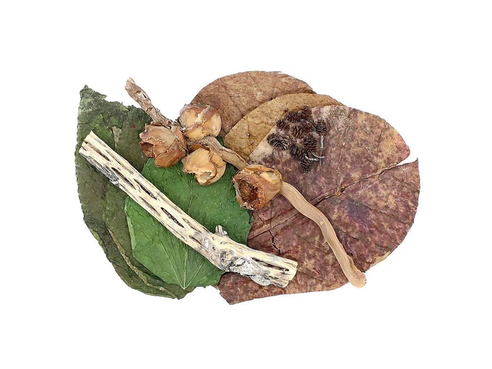 Aquatic Arts Botanical Combo Pack - Nestor' Aquariums & Pets