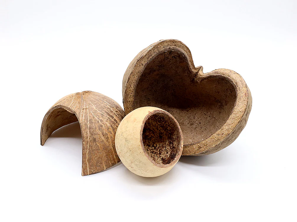 Aquatic Arts Natural Hide Combo Pack — Coconut Hut, Beal & Buddha Pods - Nestor' Aquariums & Pets