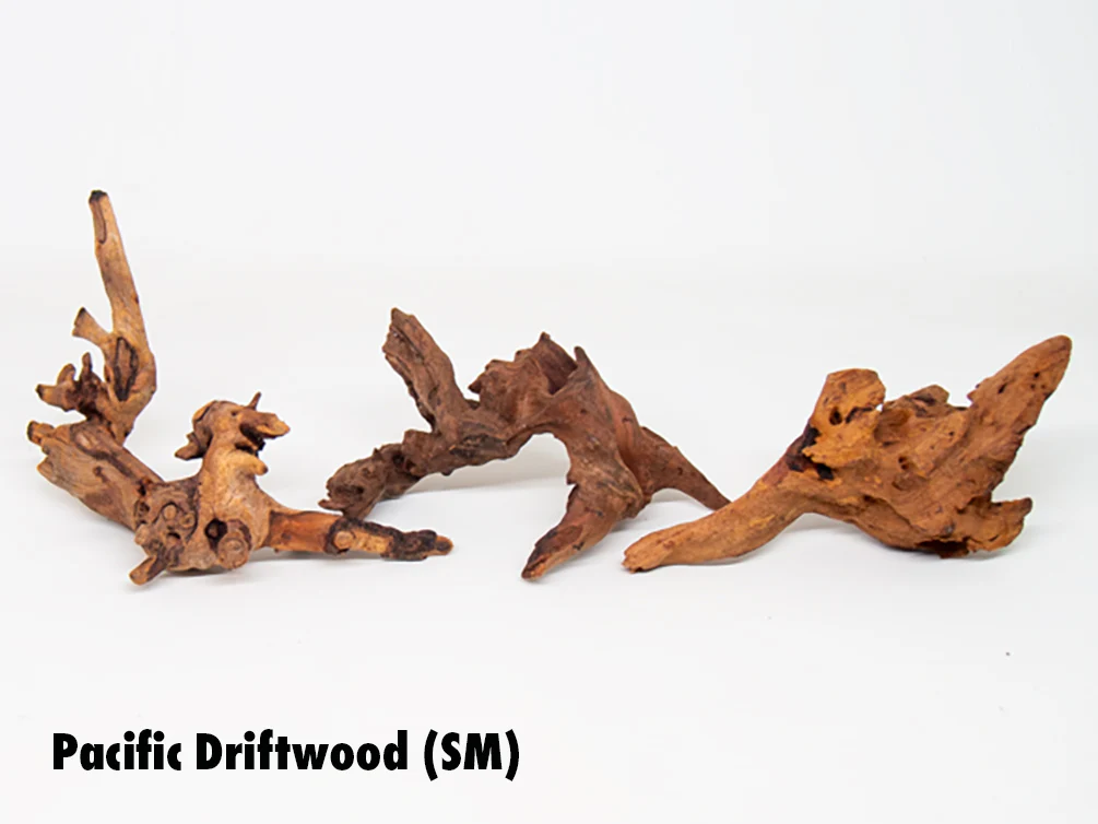 Pacific Driftwood (Dry) - Nestor' Aquariums & Pets