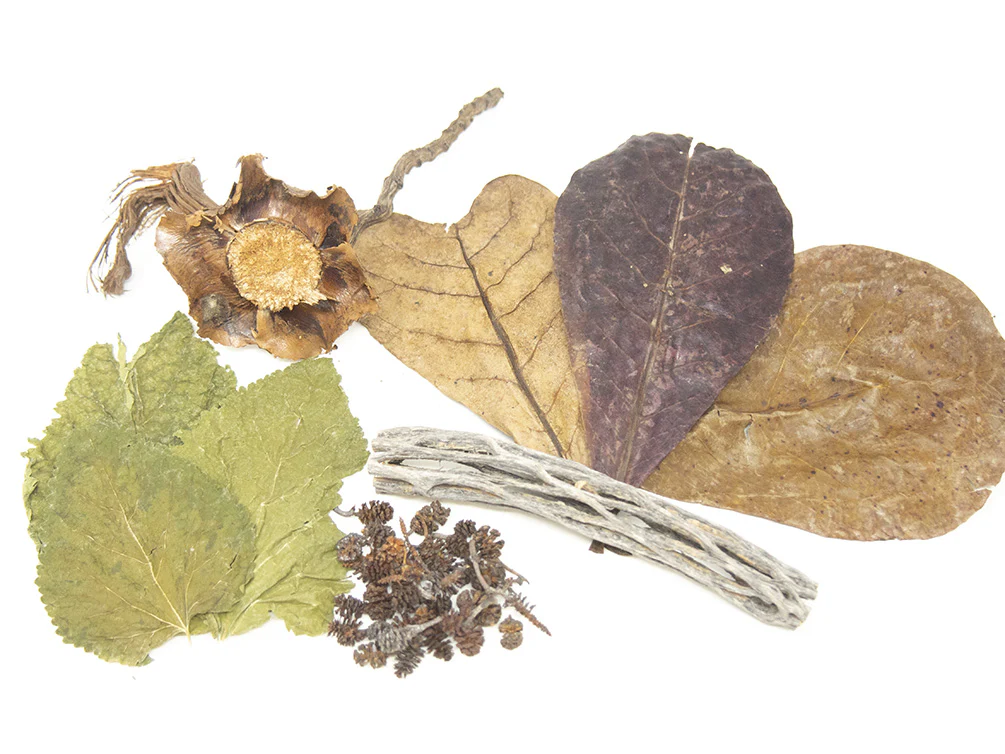 Aquatic Arts Botanical Combo Pack - Nestor' Aquariums & Pets