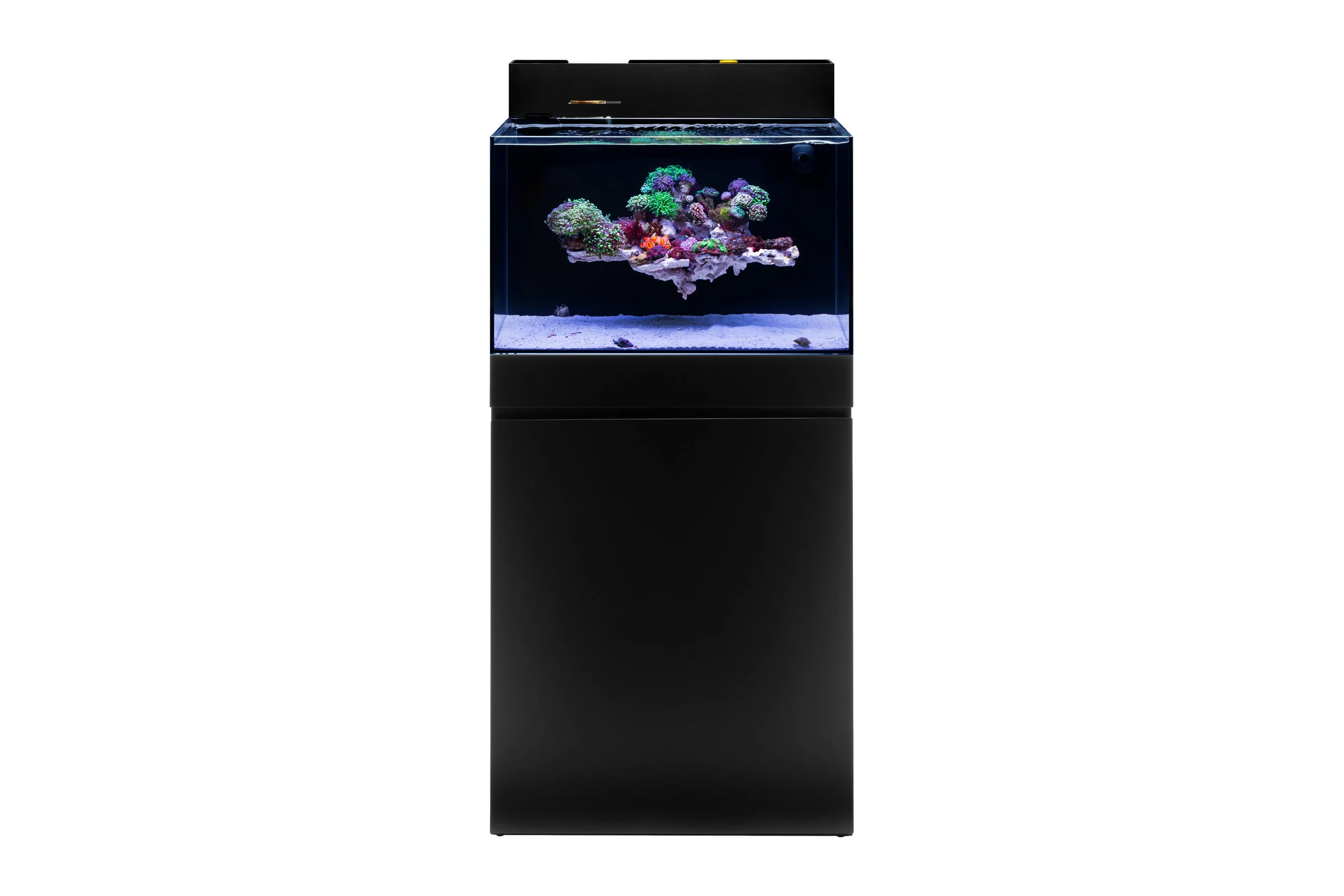 Ultum Nature Systems Aquarium Tank & Stand Bundle - Jet Black - Nestor' Aquariums & Pets