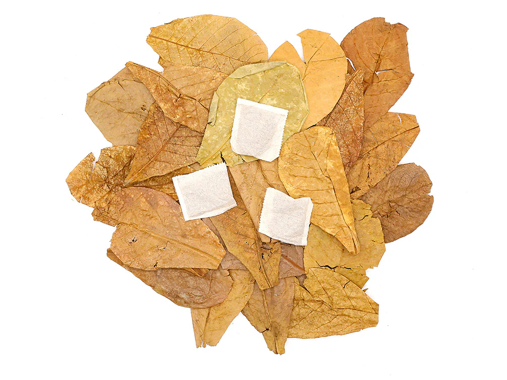 Aquatic Arts Tannin Tea Bags (Terminalia catappa) — Natural Tannins Without Debris - Nestor' Aquariums & Pets