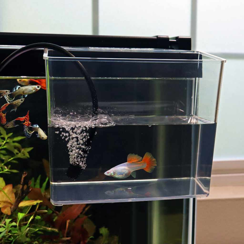 Aquarium Co-Op Unbreakable Catch Cup - Nestor' Aquariums & Pets