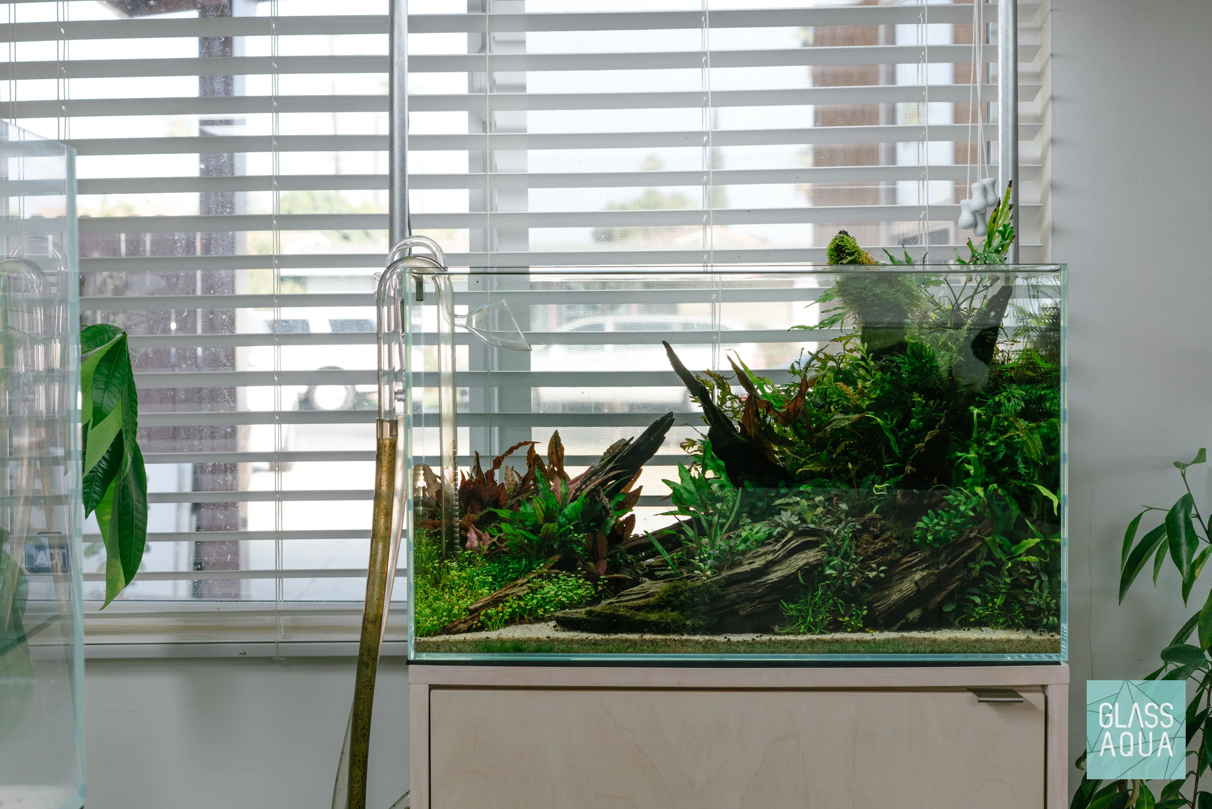 UNS Rimless Standard Glass Aquarium Tank - Nestor' Aquariums & Pets
