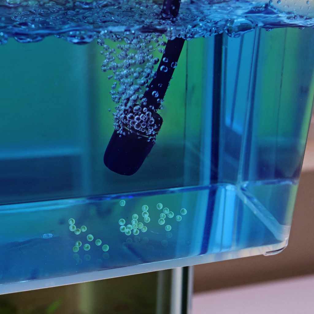 Aquarium Co-Op Unbreakable Catch Cup - Nestor' Aquariums & Pets