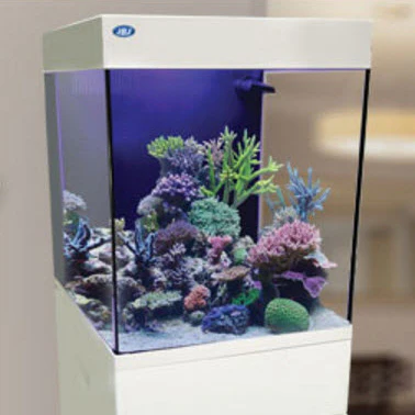JBJ Aquarium - 10 GALLON WHITE CUBEY TANK - Nestor' Aquariums & Pets