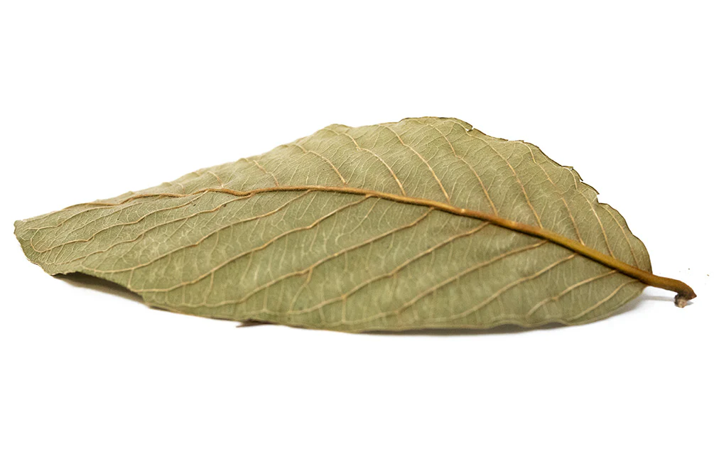 Aquatic Arts Guava Leaves - Nestor' Aquariums & Pets