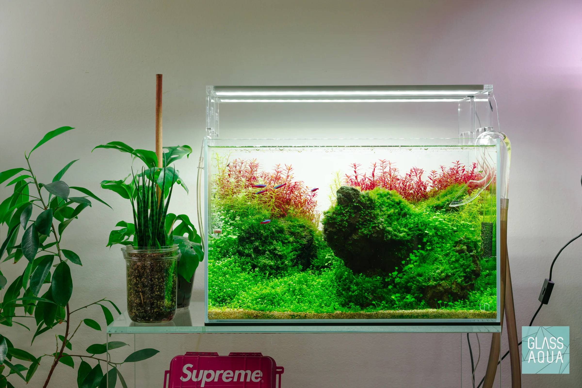 Build Your Own Aquarium Kit - Standard Tank - Nestor' Aquariums & Pets