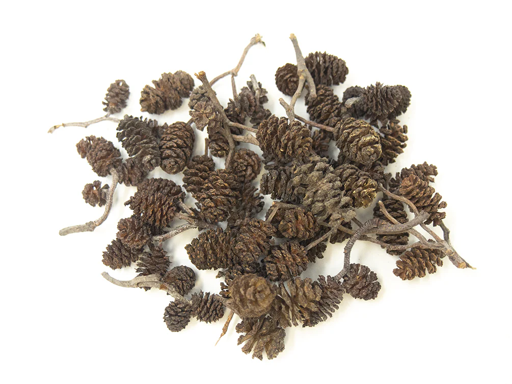 Botanical Breeder Combo Pack (Sulawesi Shrimp) - Nestor' Aquariums & Pets