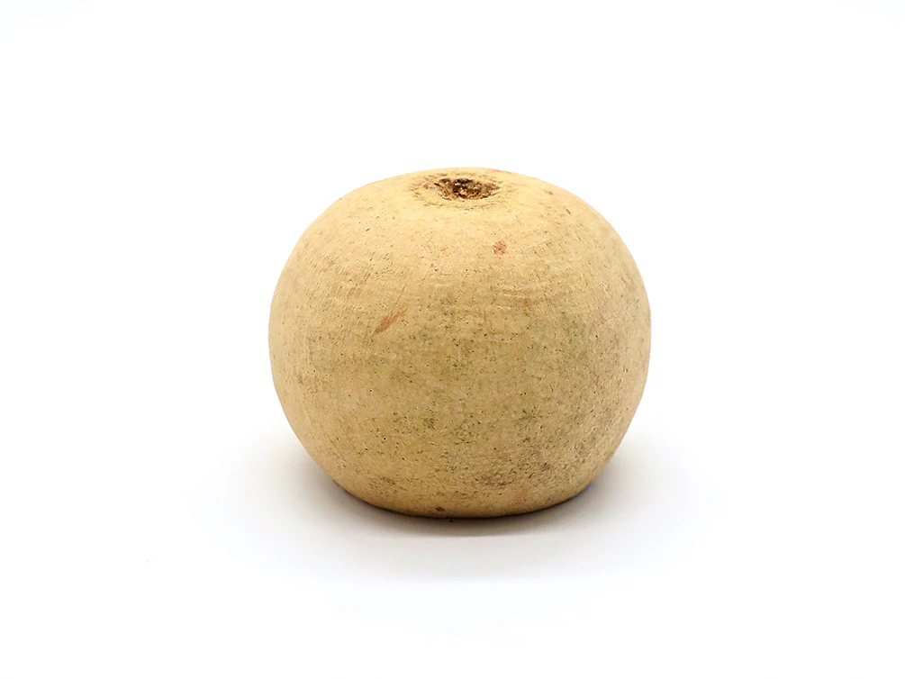 Aquatic Arts Beal Pods (Aegle marmelos) — Dried Botanicals - Nestor' Aquariums & Pets