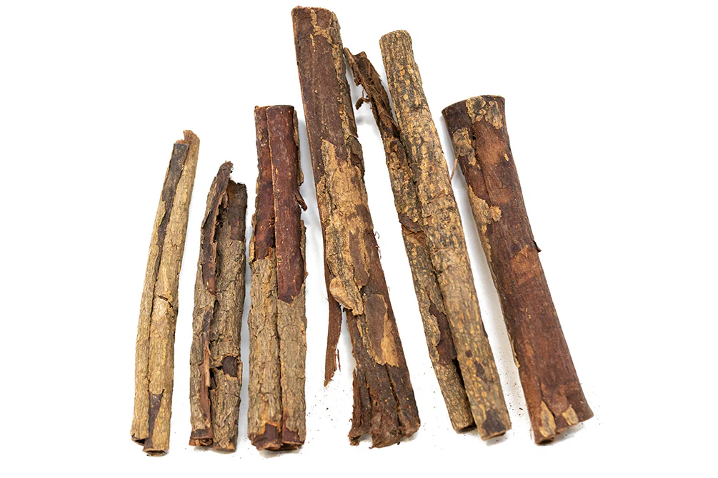 Catappa Bark - Nestor' Aquariums & Pets