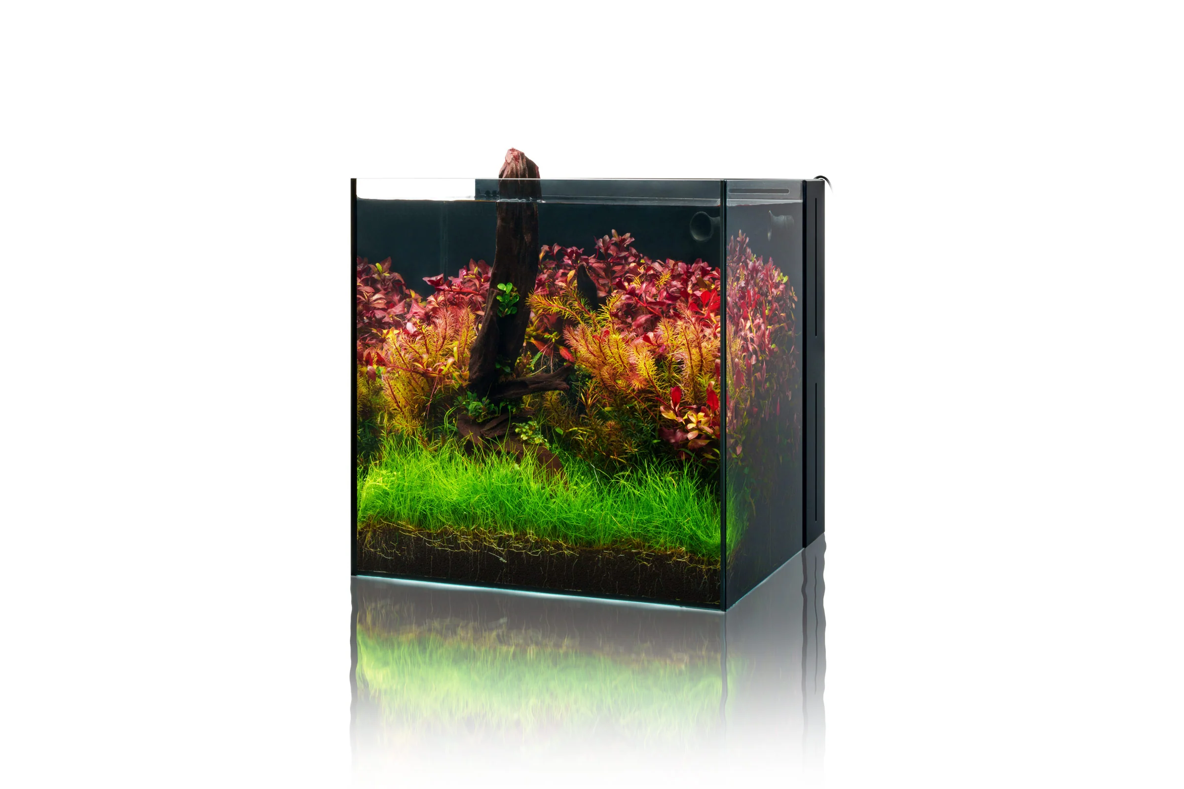 UNS Dual All-In-One Glass Aquarium Tank - Nestor' Aquariums & Pets