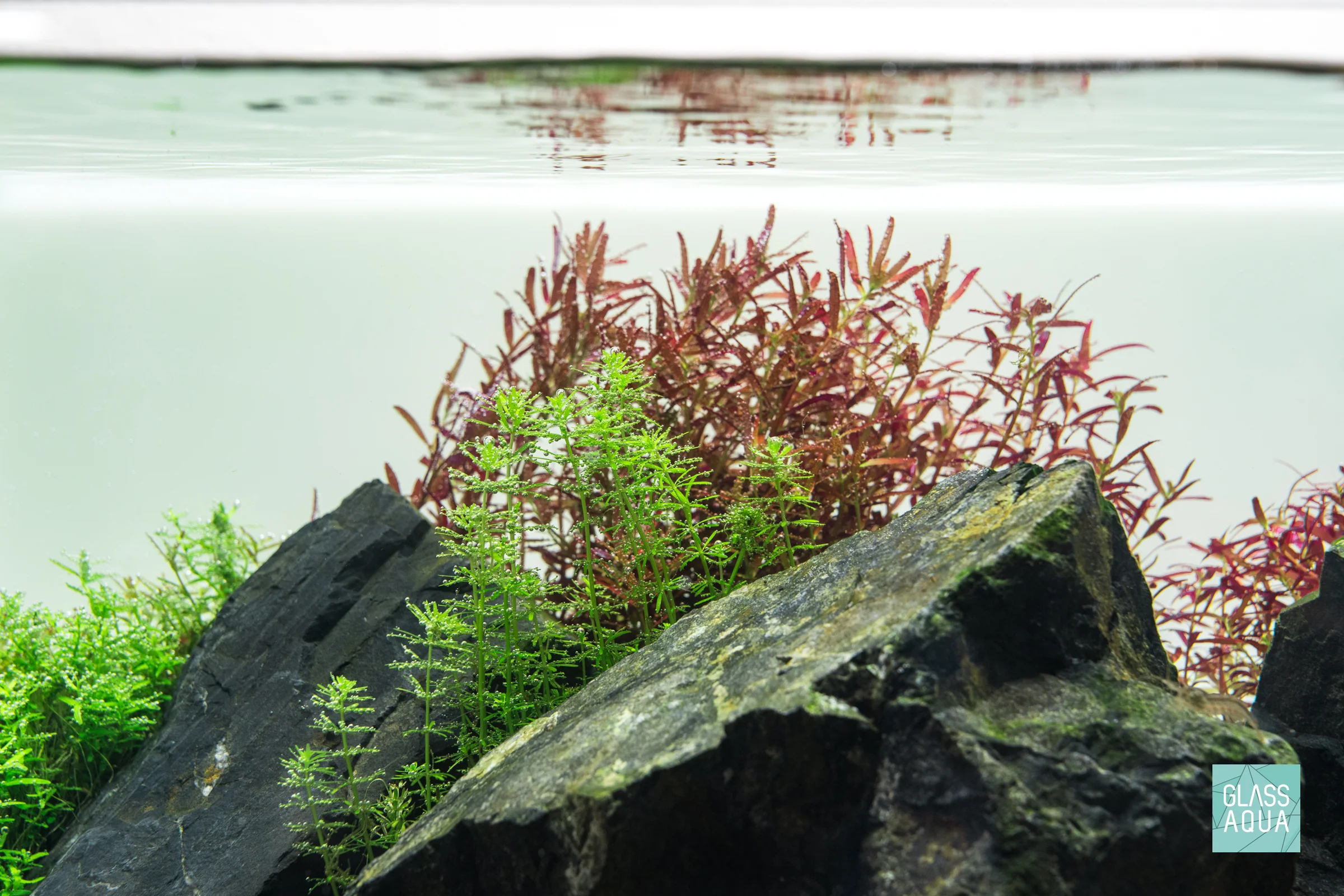 Build Your Own Canister Filter System - Nestor' Aquariums & Pets