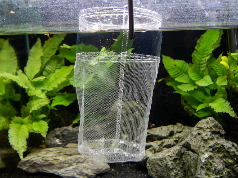 Deluxe Handmade In-Tank Breeder Net - Nestor' Aquariums & Pets