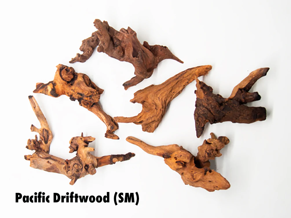 Pacific Driftwood (Dry) - Nestor' Aquariums & Pets