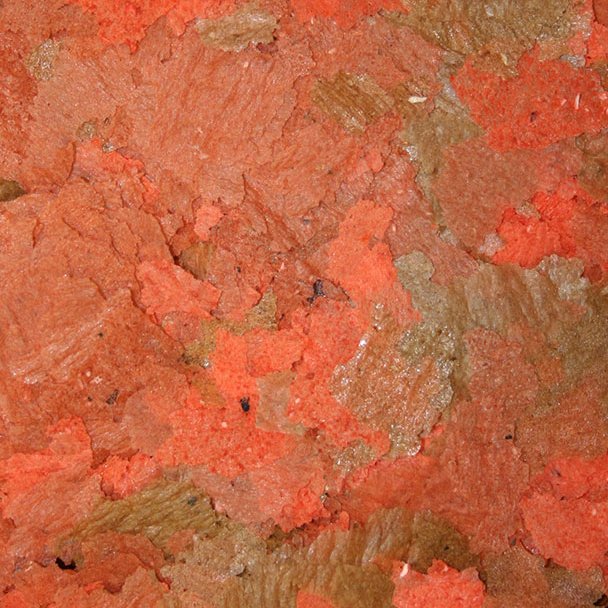 Omega One Cichlid Flakes Food (Various Sizes) - Nestor' Aquariums & Pets