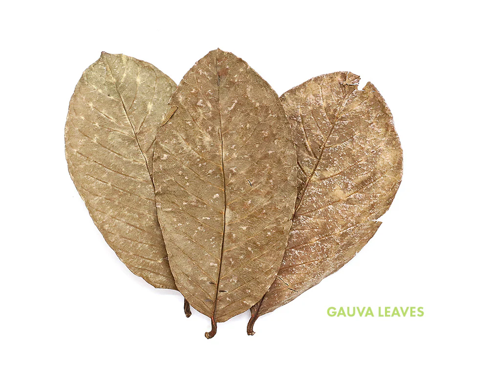 Aquatic Arts Mixed Fruit Leaf Botanical Pack (Mango, Guava, Banana & Jackfruit) - Dried Botanicals - Nestor' Aquariums & Pets
