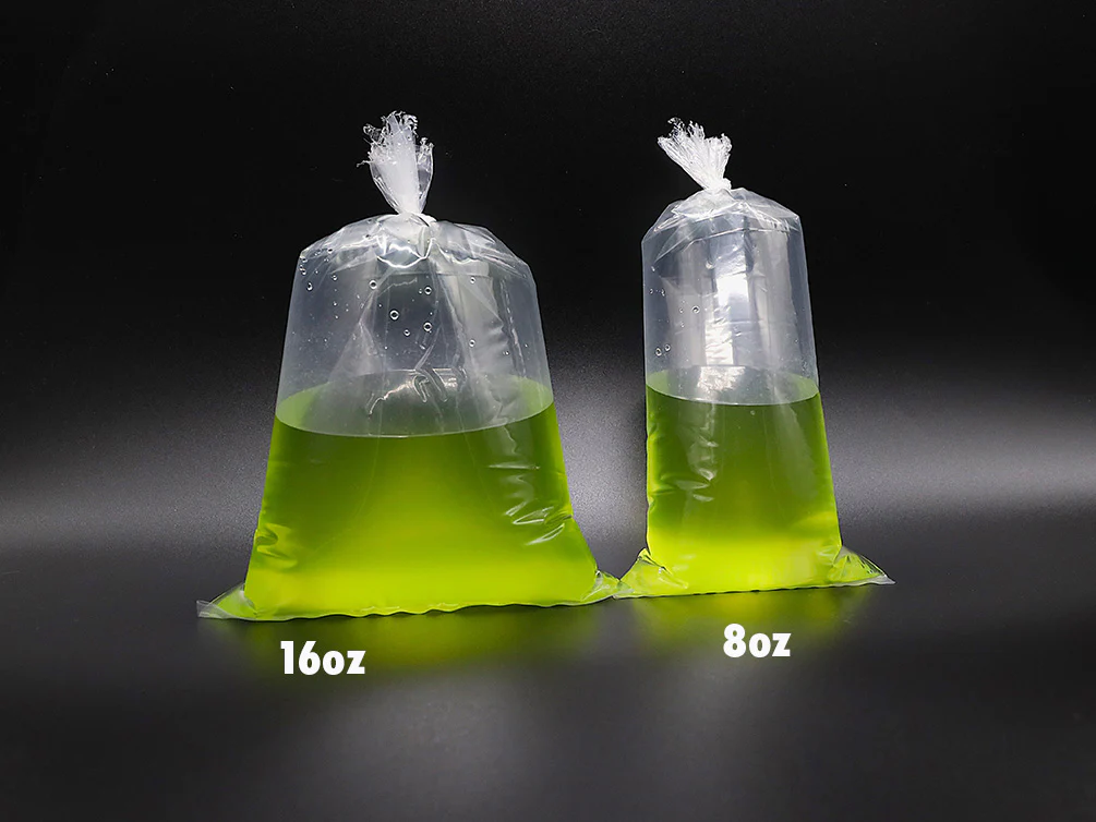 Green Water Phytoplankton – Live Freshwater Culture | Cultured by Aquatic Arts - Nestor' Aquariums & Pets