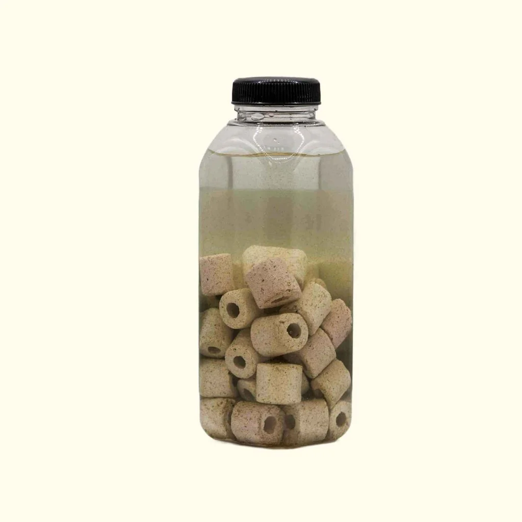 Live Aquarium Bacteria Starter Culture - Nestor' Aquariums & Pets