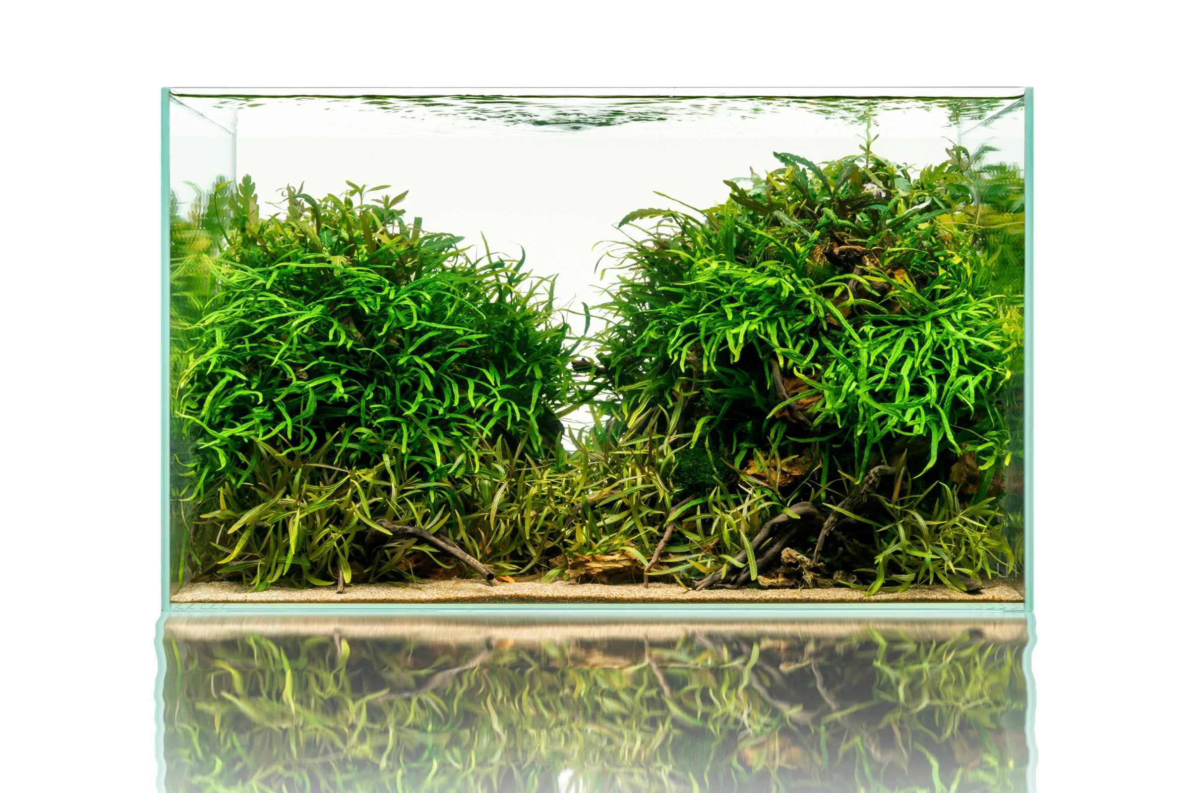 UNS Rimless Standard Glass Aquarium Tank - Nestor' Aquariums & Pets