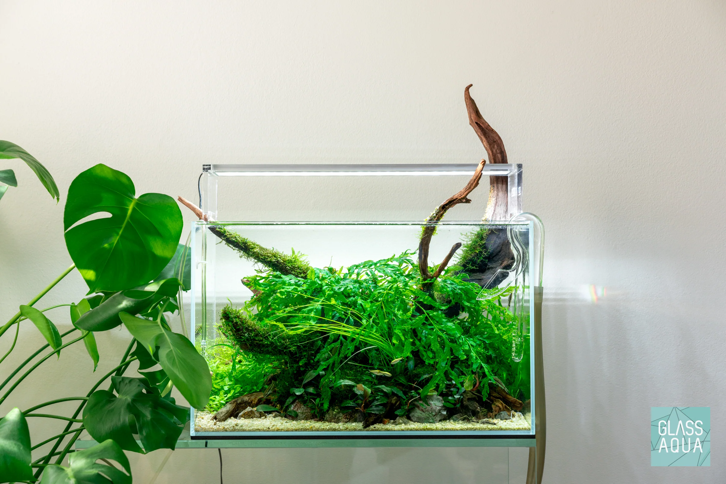 Build Your Own Aquarium Kit - Standard Tank - Nestor' Aquariums & Pets