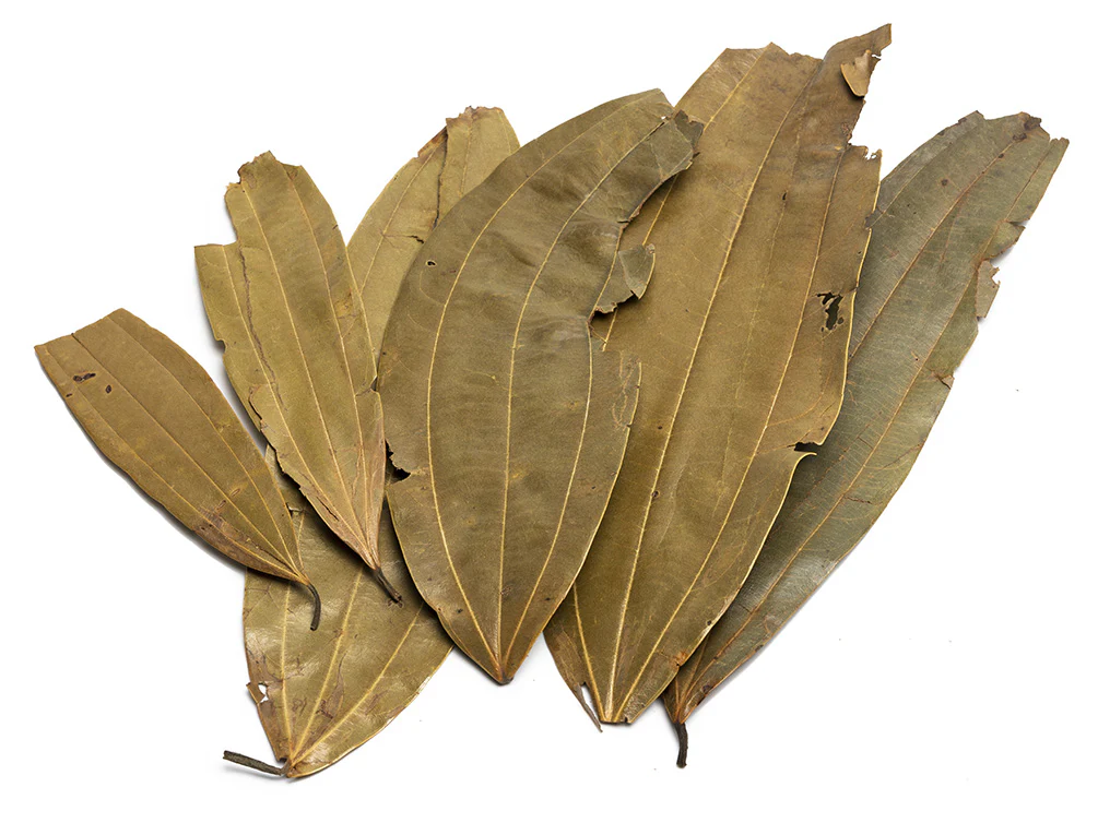 Cinnamon Leaves - Nestor' Aquariums & Pets