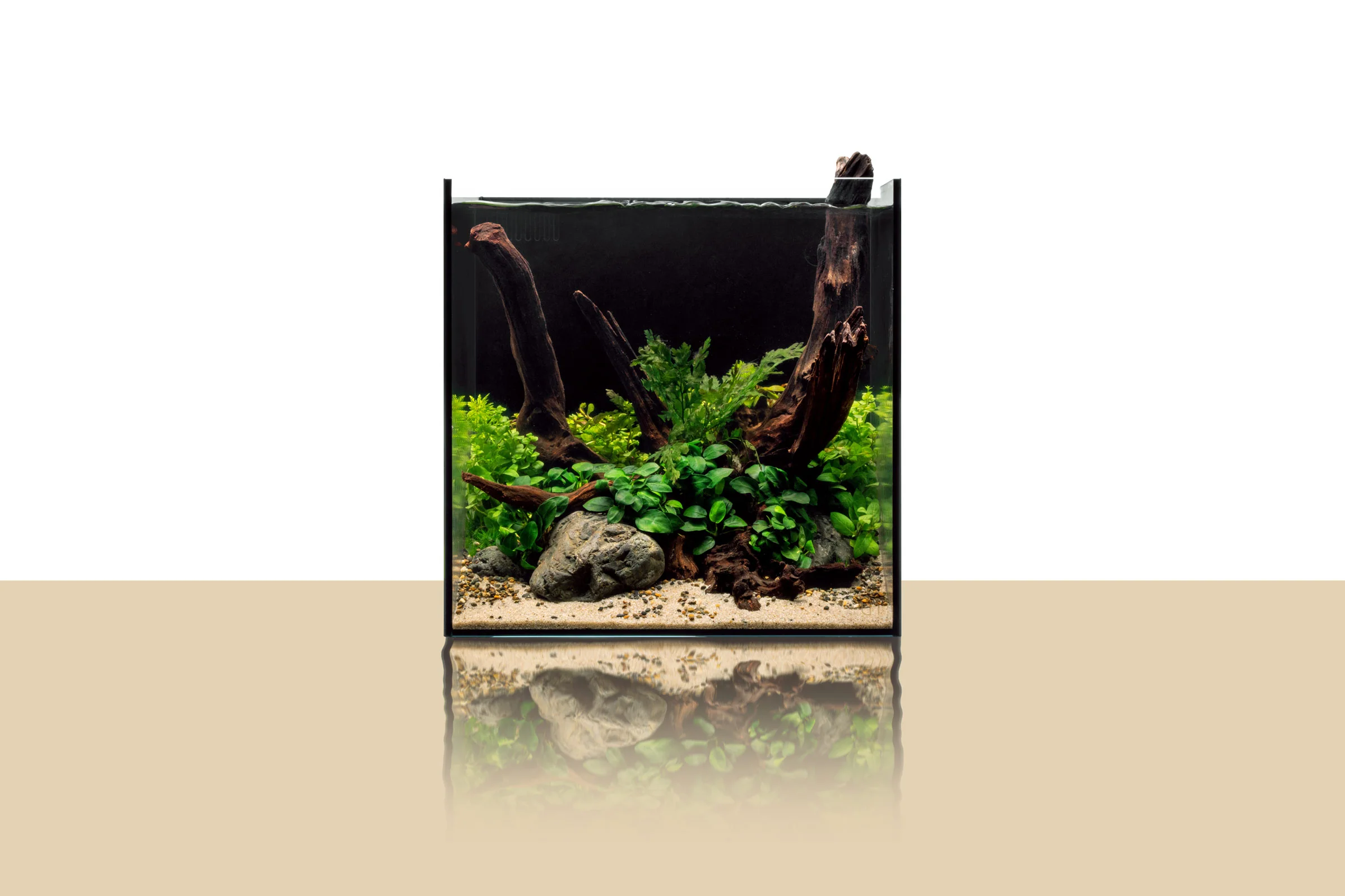 UNS Dual All-In-One Glass Aquarium Tank - Nestor' Aquariums & Pets