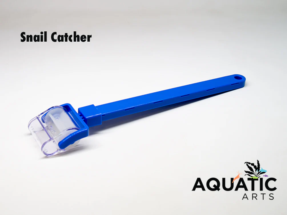 AquaZen Snail Catcher/Remover - Nestor' Aquariums & Pets