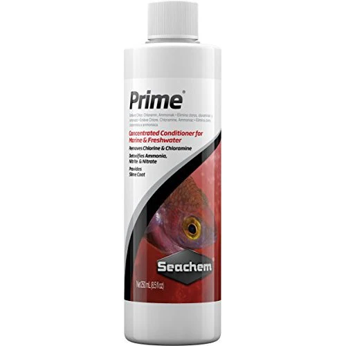 Seachem Prime - Nestor' Aquariums & Pets