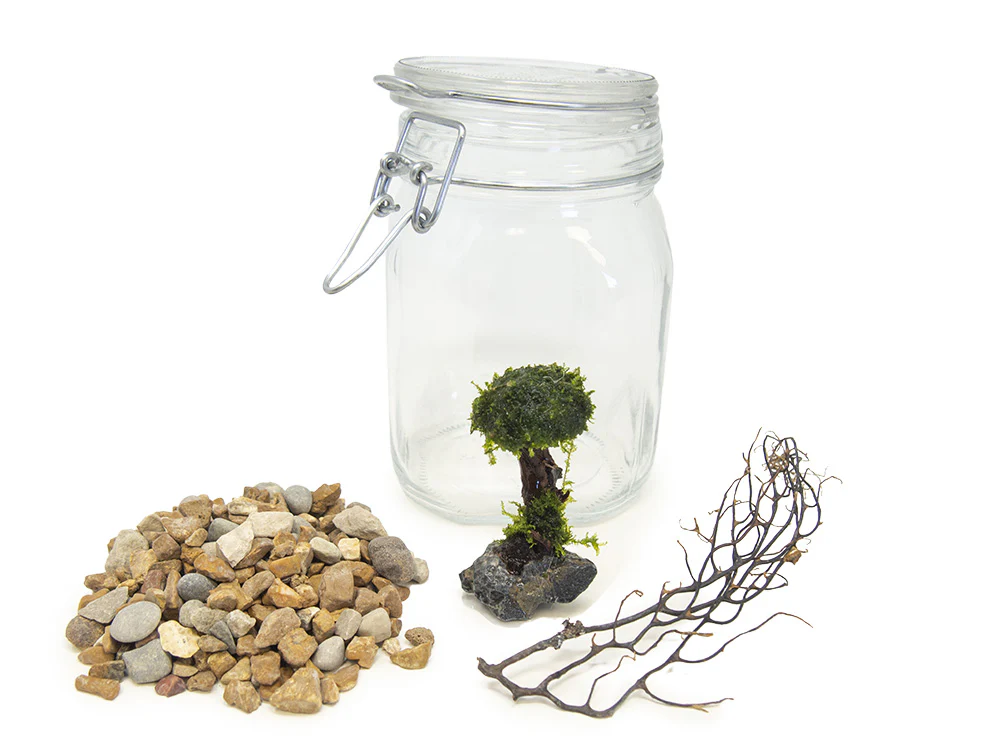 Aquatic Arts Desktop Terrarium - Nestor' Aquariums & Pets