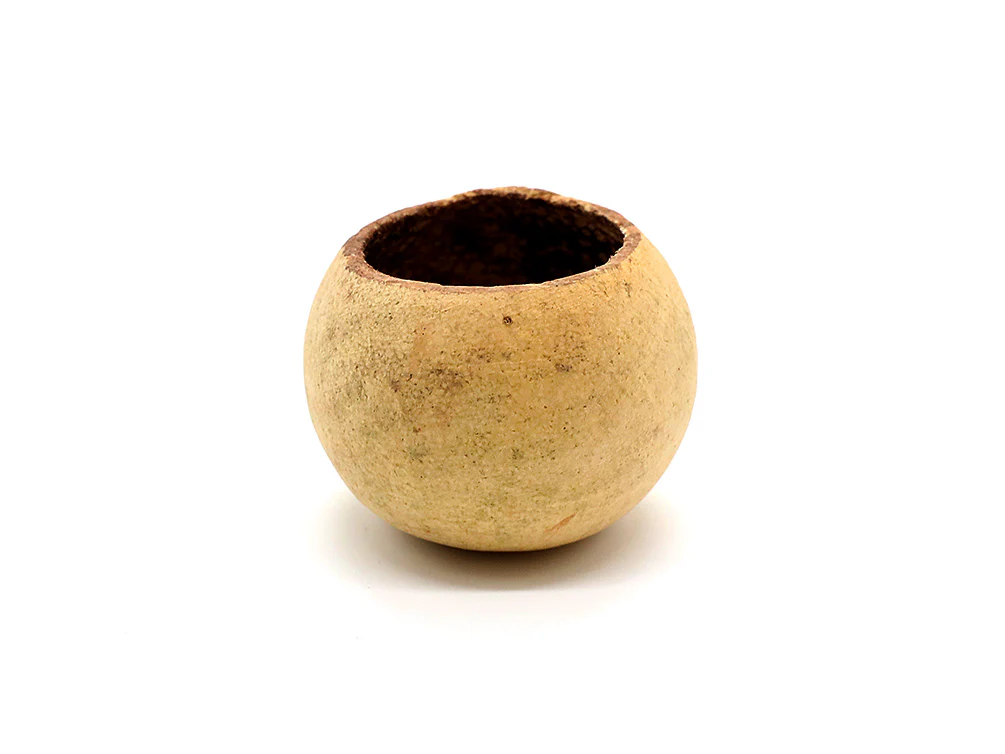 Aquatic Arts Natural Hide Combo Pack — Coconut Hut, Beal & Buddha Pods - Nestor' Aquariums & Pets