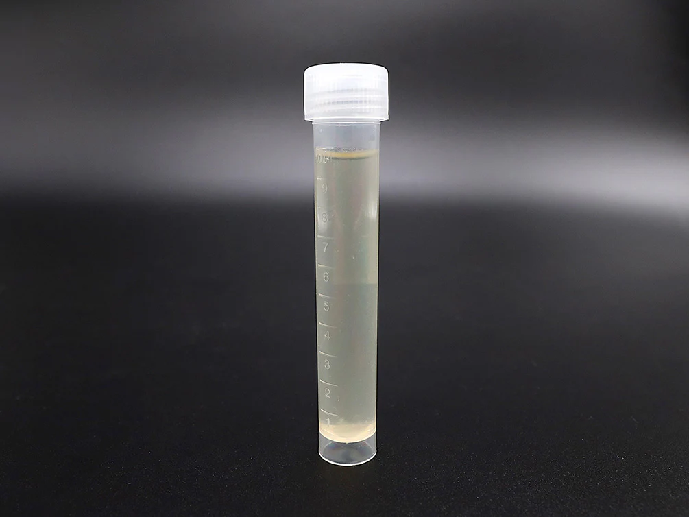 Vinegar Eels Starter Culture – Live Food - Nestor' Aquariums & Pets