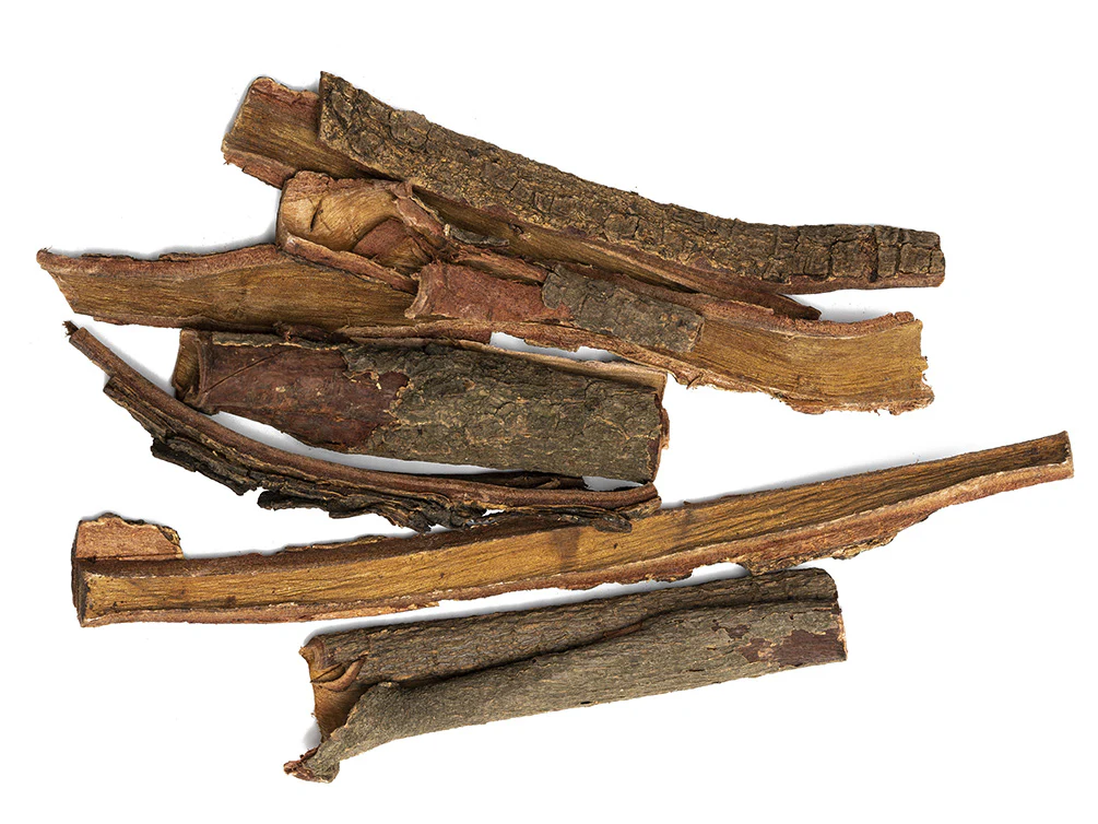 Catappa Bark - Nestor' Aquariums & Pets