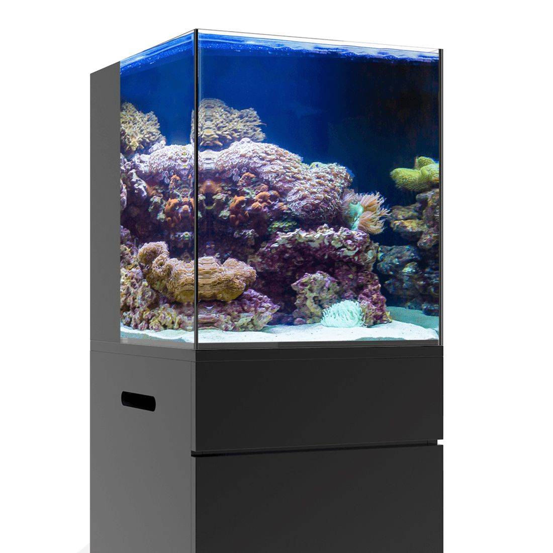 JBJ Aquarium - NANO RIMLESS - 10/15/20 GALLON ALL IN ONE TANK - Nestor' Aquariums & Pets
