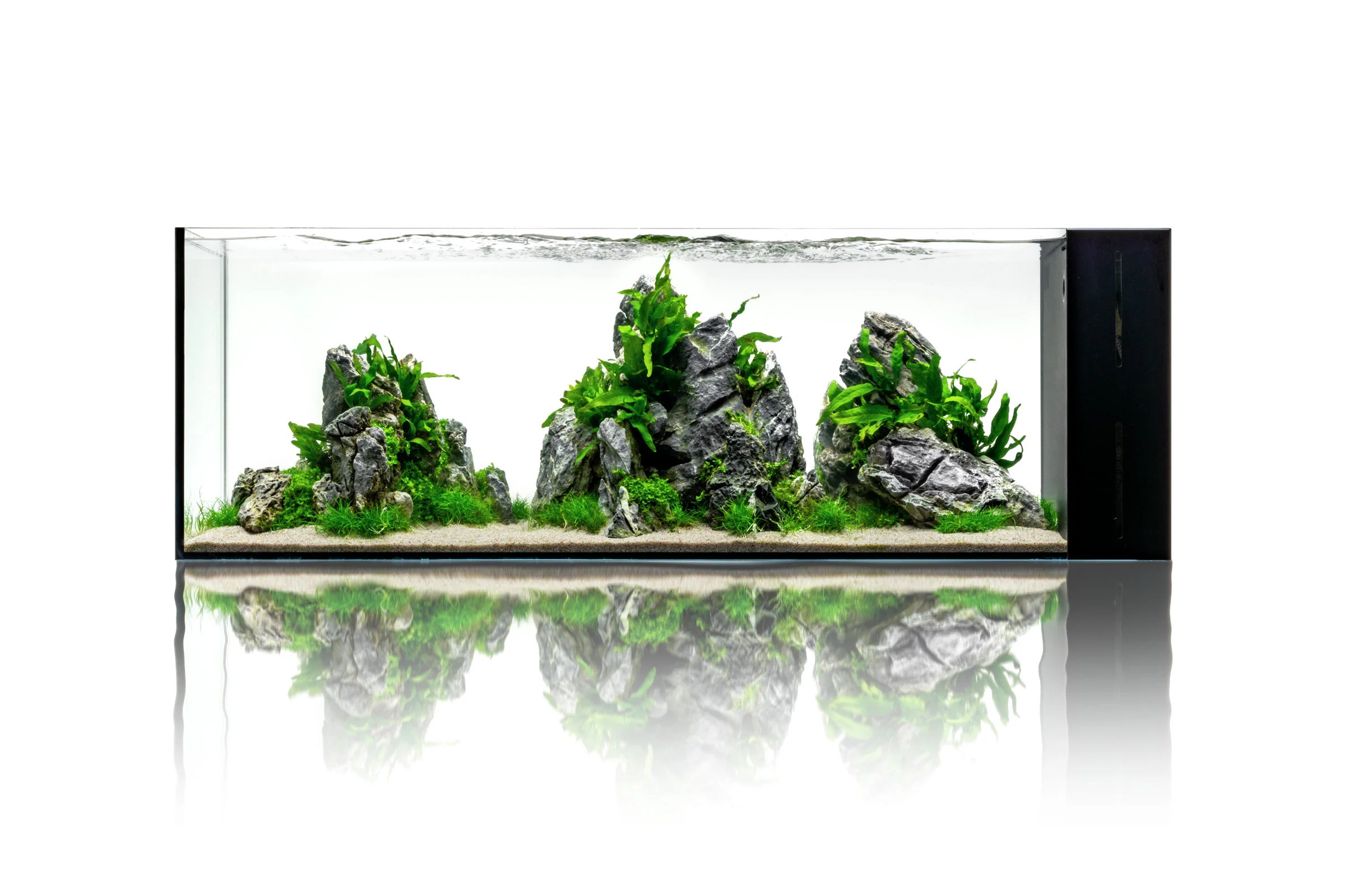 UNS Dual All-In-One Glass Aquarium Tank - Nestor' Aquariums & Pets