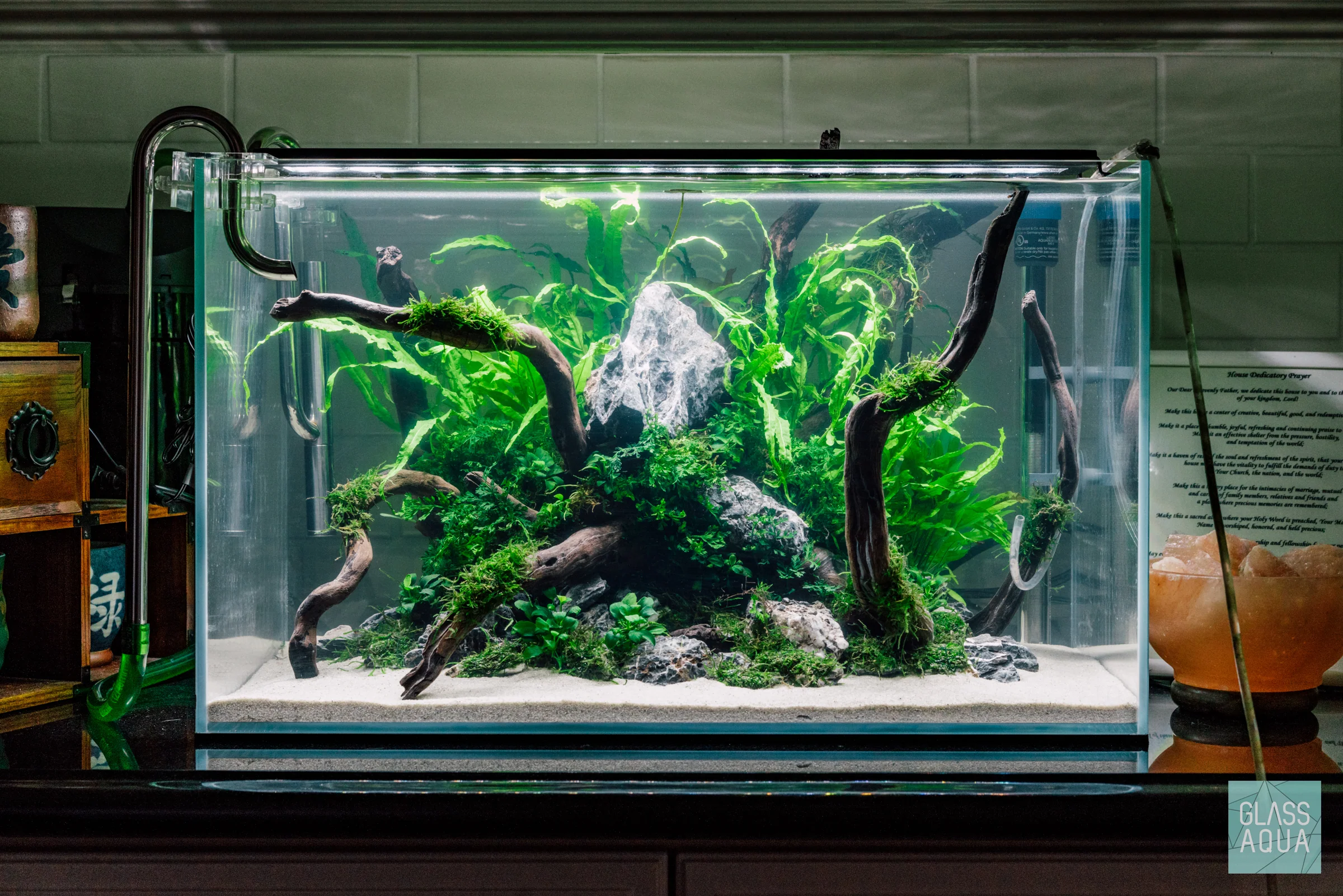 Build Your Own Aquarium Kit - Standard Tank - Nestor' Aquariums & Pets