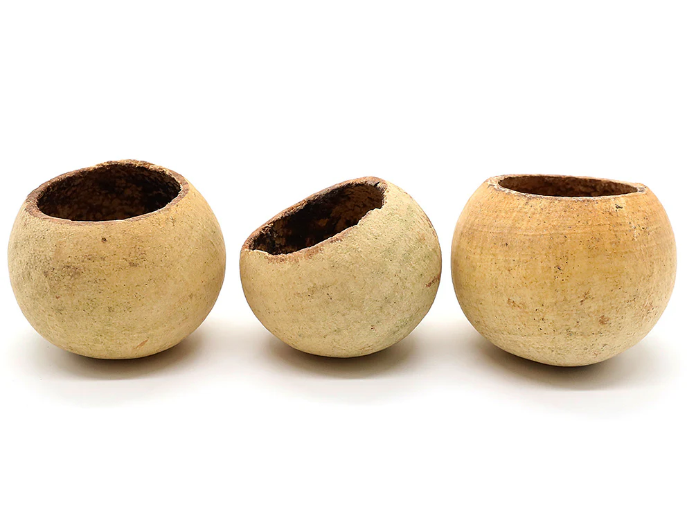 Aquatic Arts Beal Pods (Aegle marmelos) — Dried Botanicals - Nestor' Aquariums & Pets