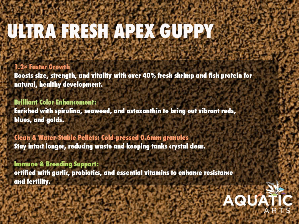 Ultra Fresh APEX Guppy (1.2x Growth Improvement) - Nestor' Aquariums & Pets