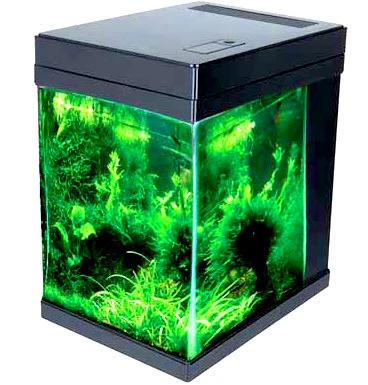 JBJ Aquarium - 3 Gallon Cubey Desktop Aquarium - Black - Nestor' Aquariums & Pets