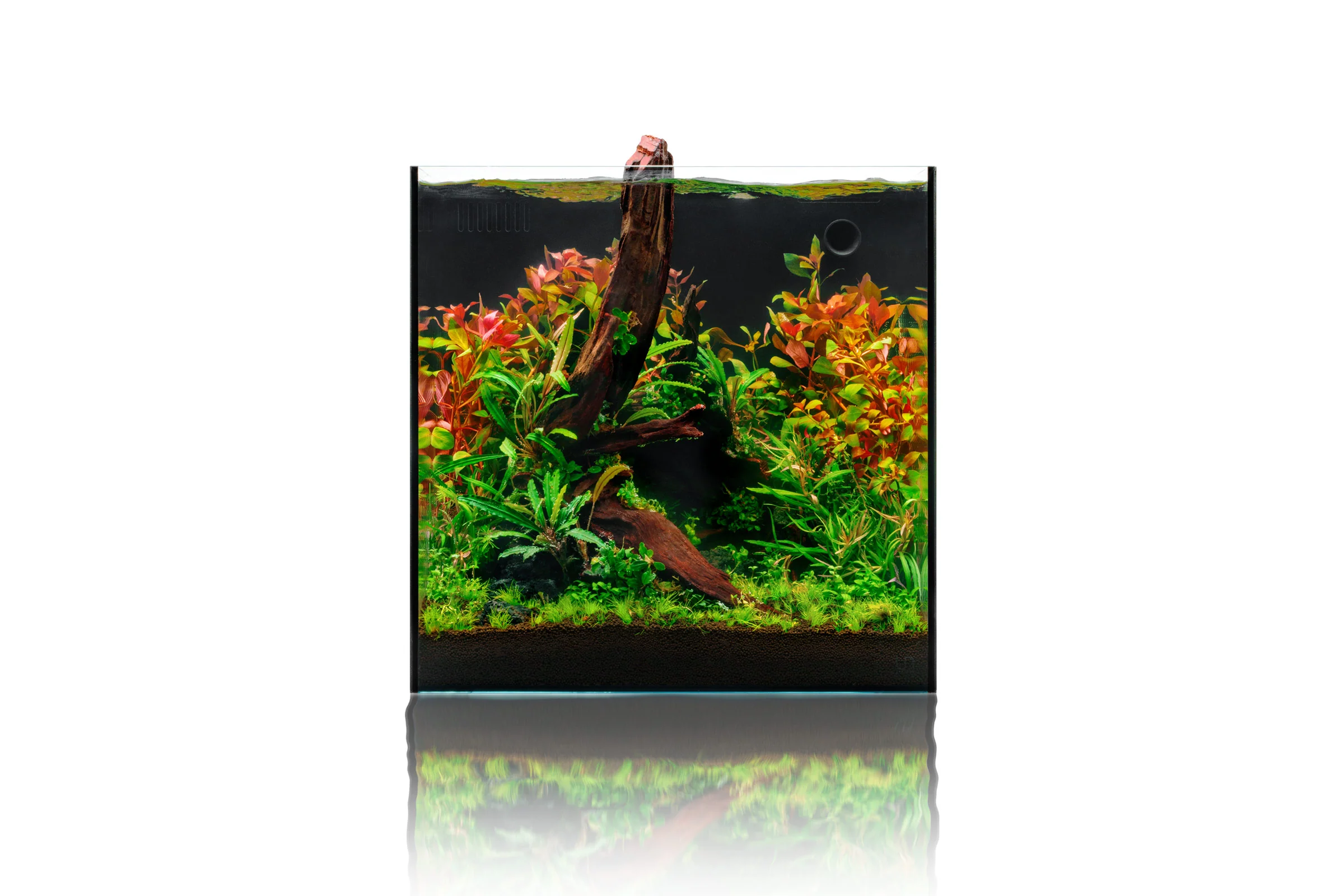 UNS Dual All-In-One Glass Aquarium Tank - Nestor' Aquariums & Pets