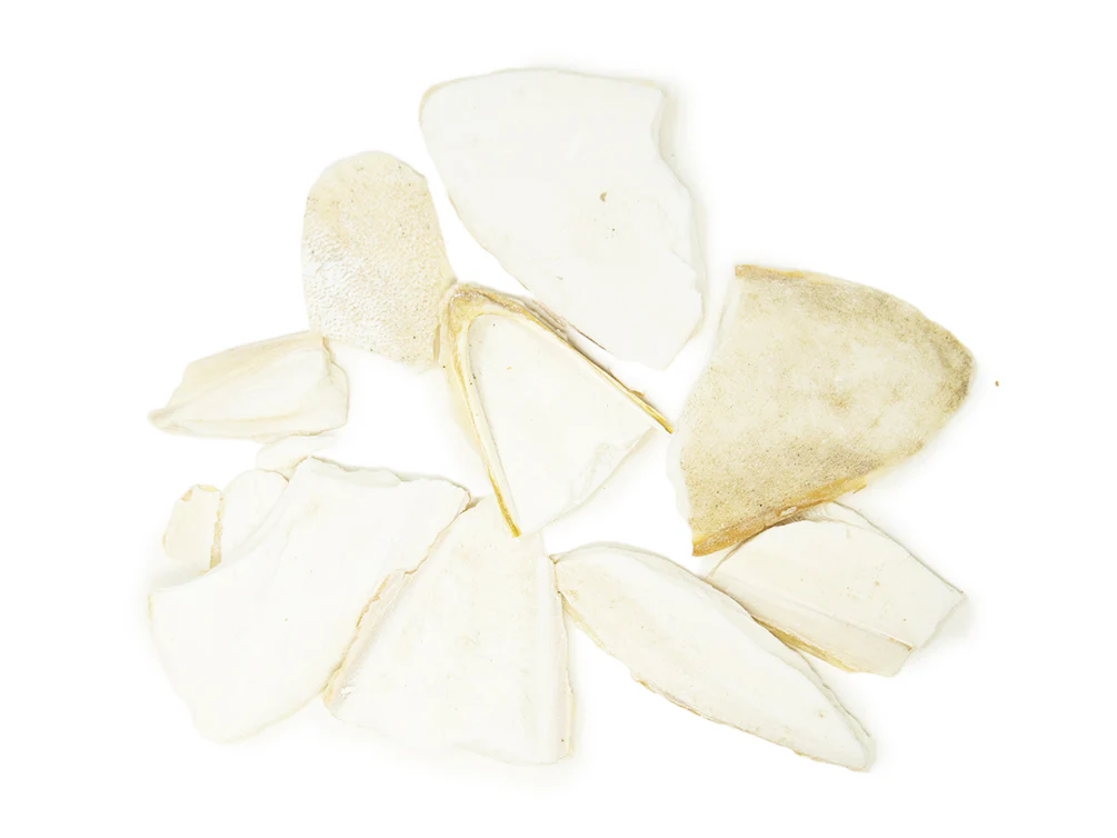 Cuttlebone (Natural Mineral Supplement) - Nestor' Aquariums & Pets