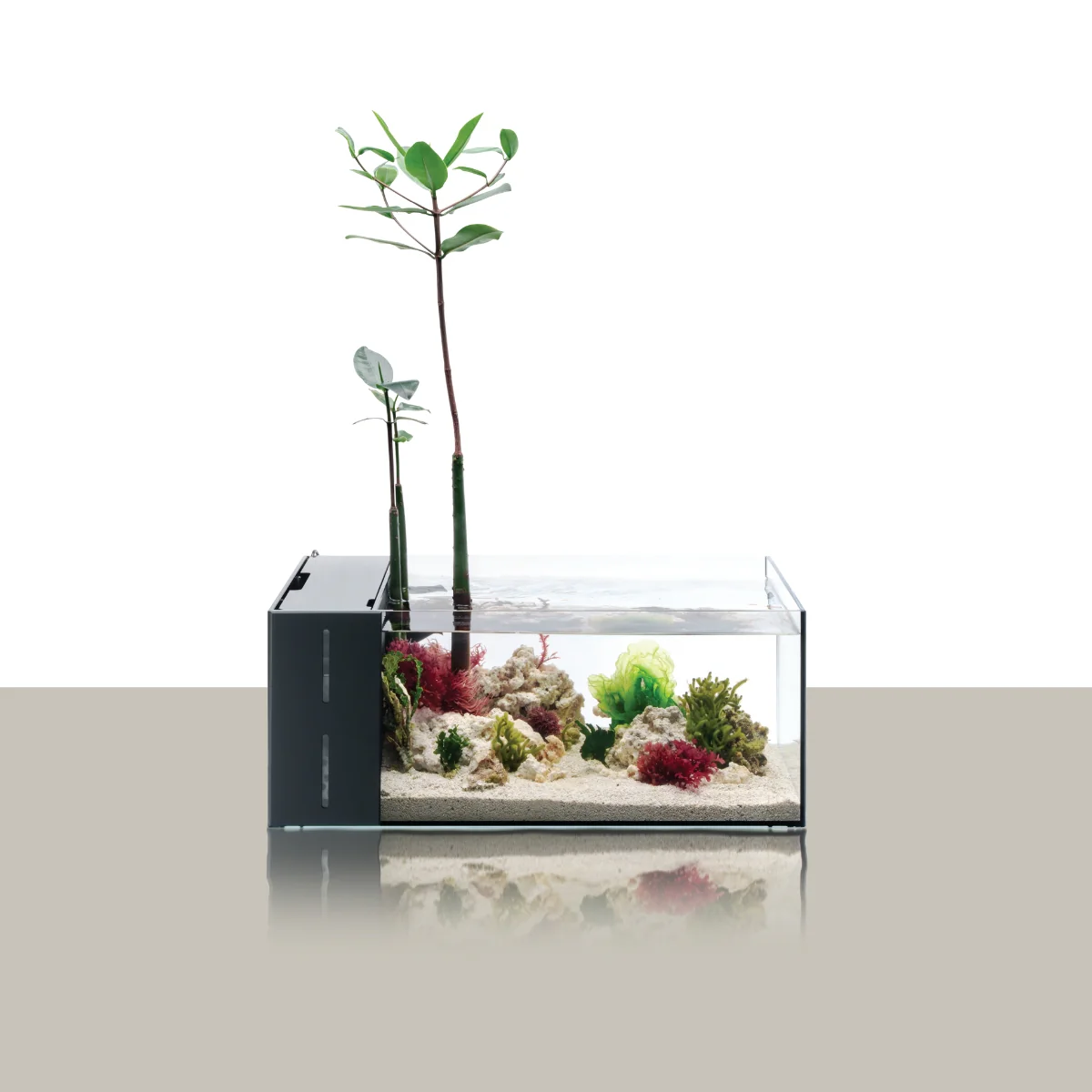 UNS Dual All-In-One Glass Aquarium Tank - Nestor' Aquariums & Pets