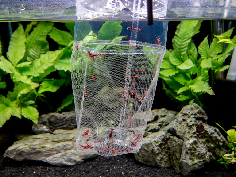 Deluxe Handmade In-Tank Breeder Net - Nestor' Aquariums & Pets
