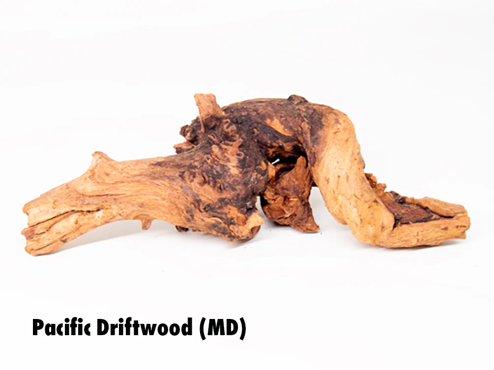 Pacific Driftwood (Dry) - Nestor' Aquariums & Pets