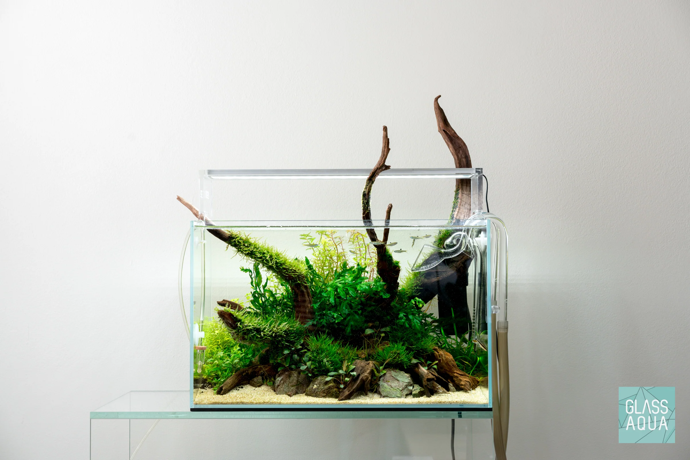 UNS Rimless Standard Glass Aquarium Tank - Nestor' Aquariums & Pets