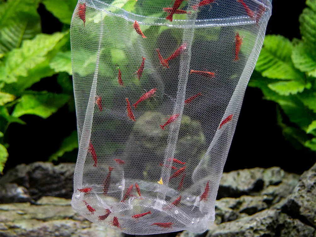 Deluxe Handmade In-Tank Breeder Net - Nestor' Aquariums & Pets