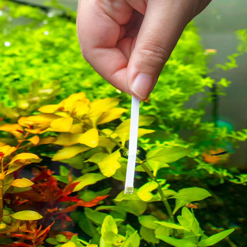 Aquarium Co-Op Ammonia Test Strips - Nestor' Aquariums & Pets