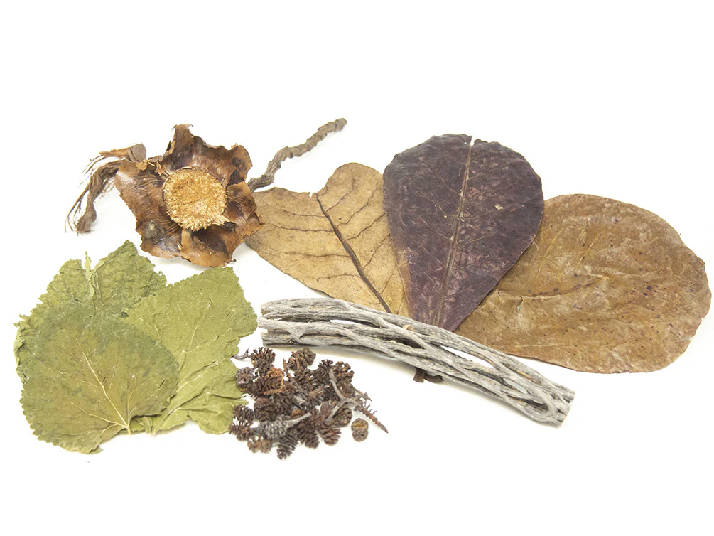 Aquatic Arts Botanical Combo Pack - Nestor' Aquariums & Pets