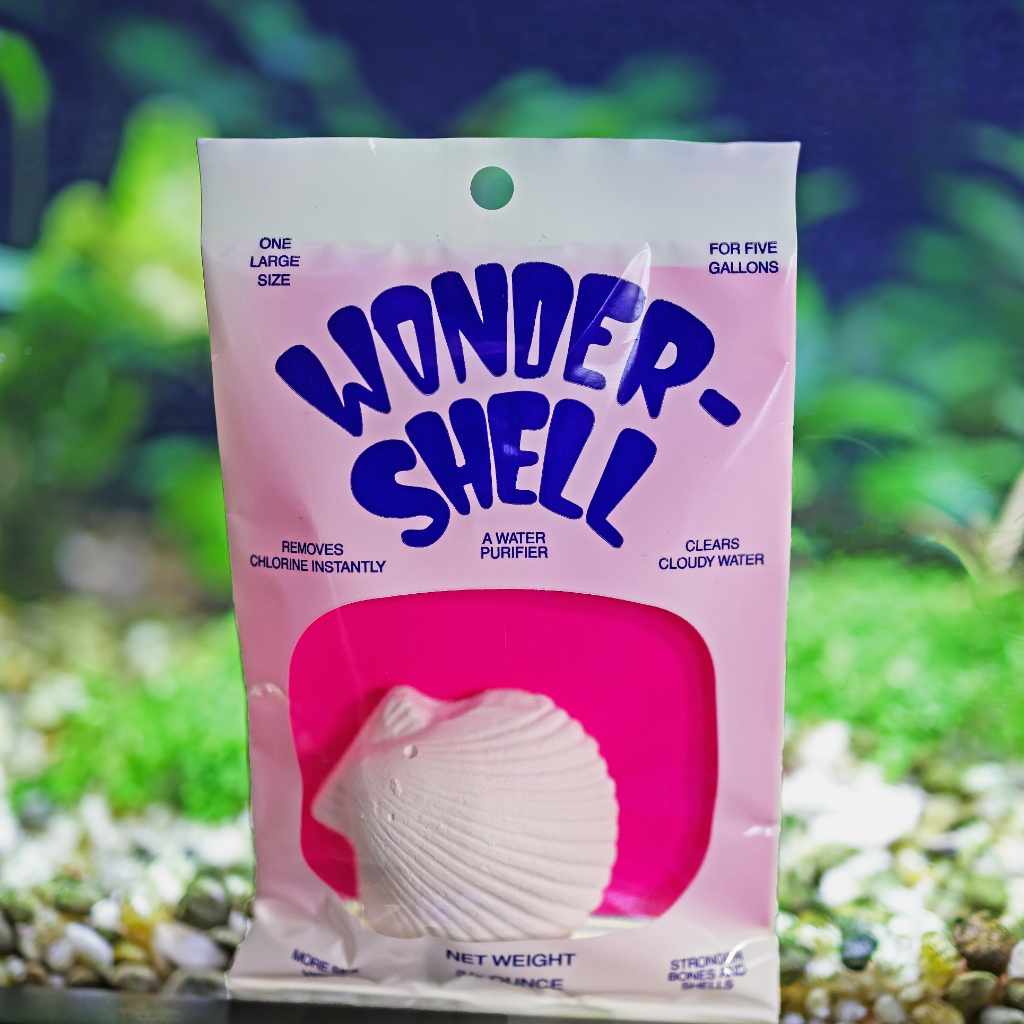 Wonder Shell - Nestor' Aquariums & Pets
