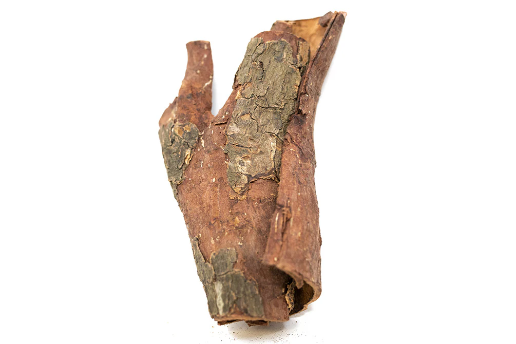 Catappa Bark - Nestor' Aquariums & Pets